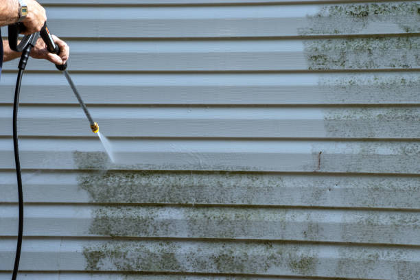 Best Attic Cleanout  in Hartland, WI